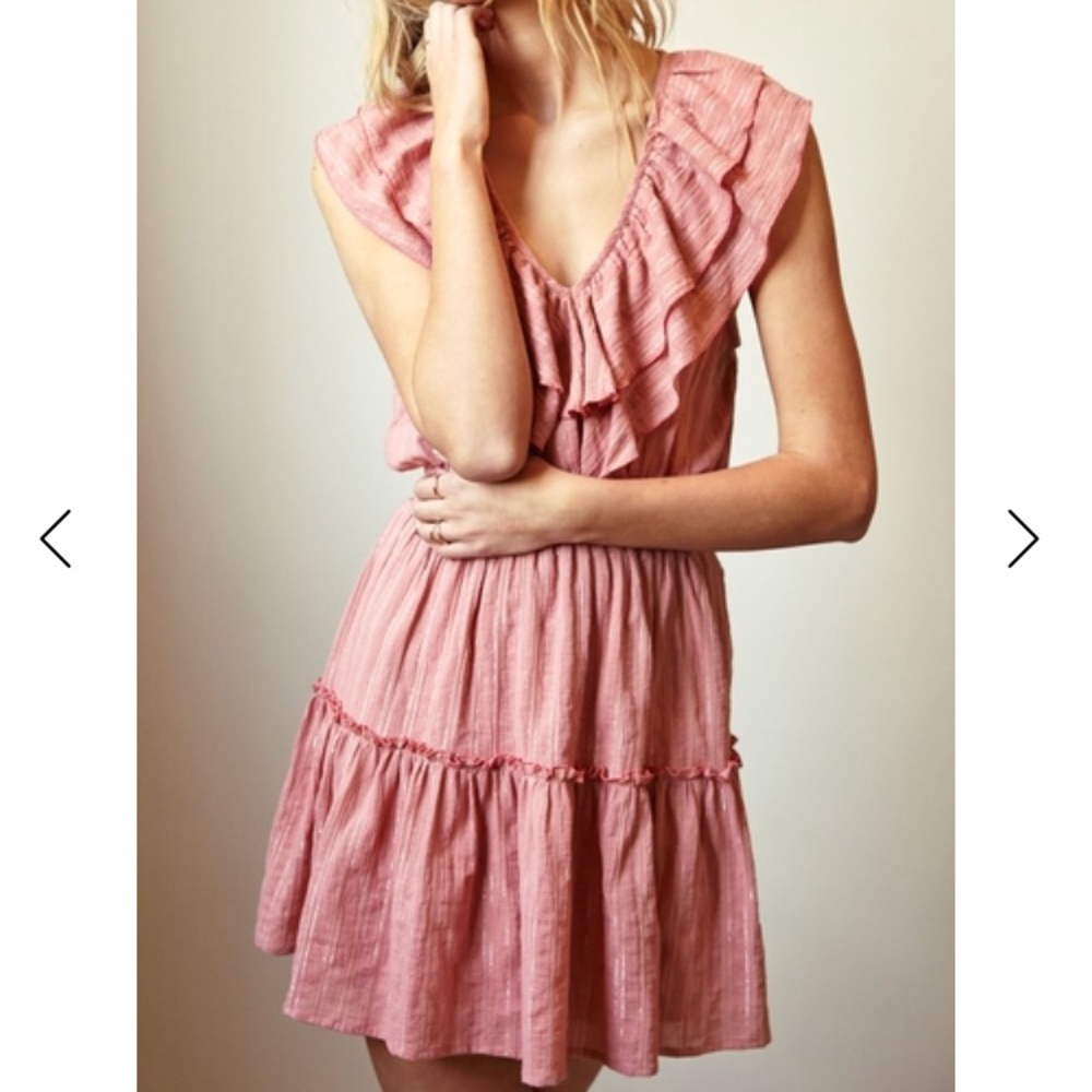 Steele the Label Jocelyn Dress in Blush Size Small